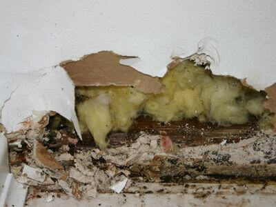 Professional water damage restoration services in Brampton - Greg  Sons Restoration